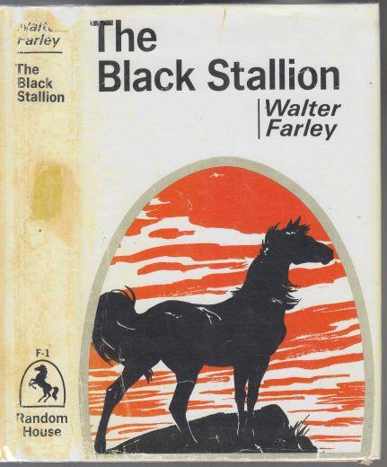 The Black Stallion