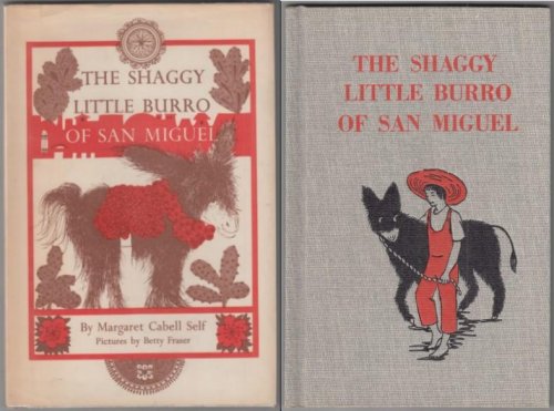 The Shaggy Little Burro of San Miguel