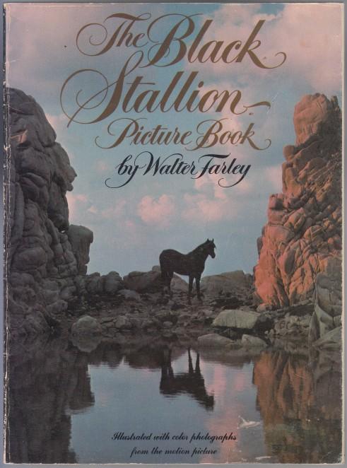 The Black Stallion Picture Book