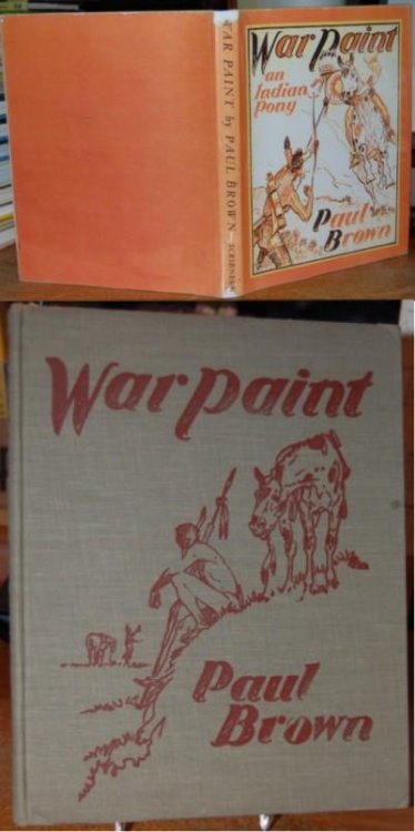 War Paint An Indian Pony