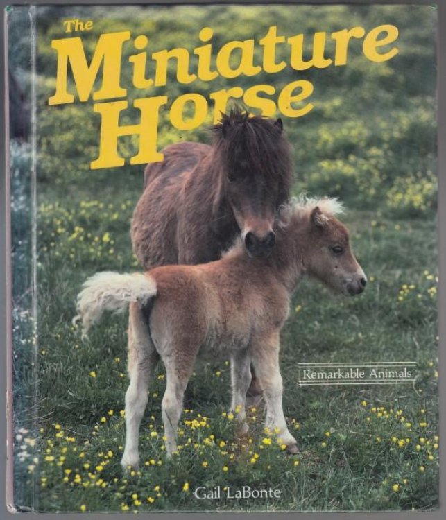 The Miniature Horse A Dillion Remarkable Animals Book
