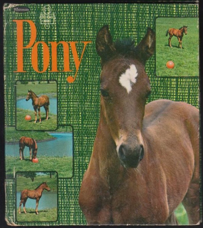Pony
