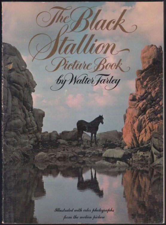 The Black Stallion Picture Book
