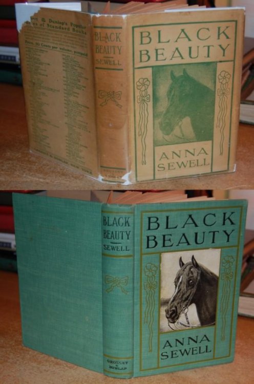 Black Beauty The Autobiography of a Horse