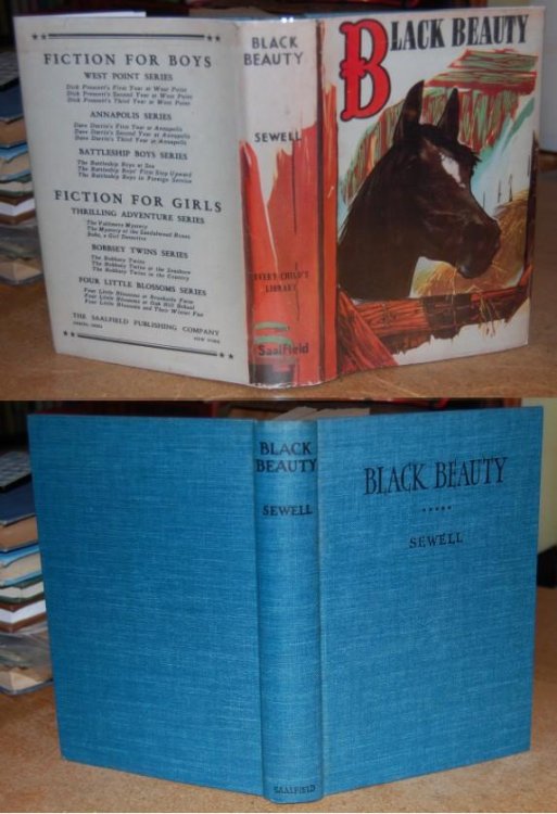 Black Beauty The Autobiography of a Horse