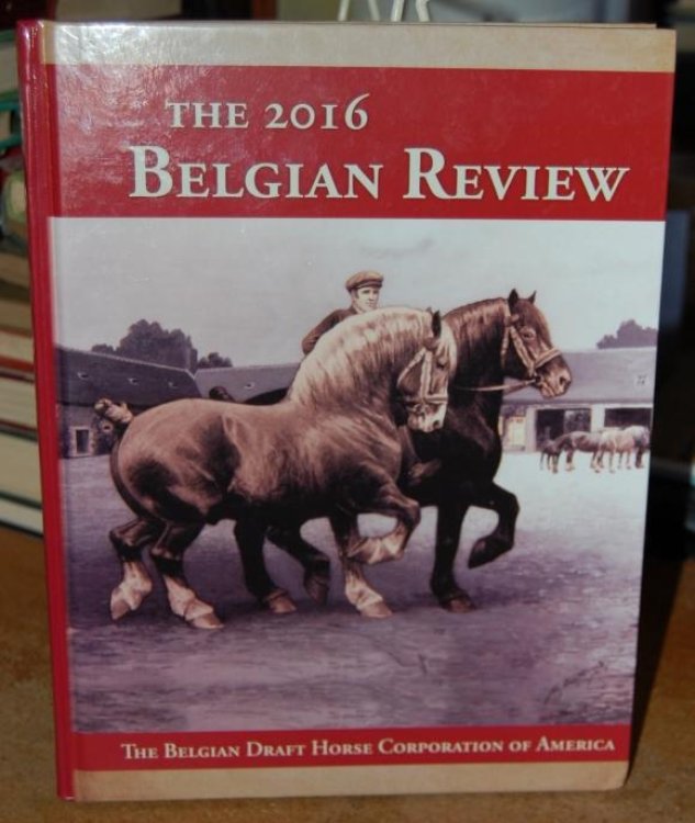 The 2016 Belgian Review