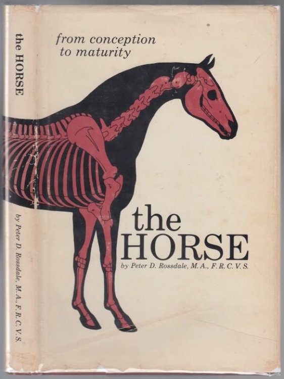 The Horse From Conception to Maturity