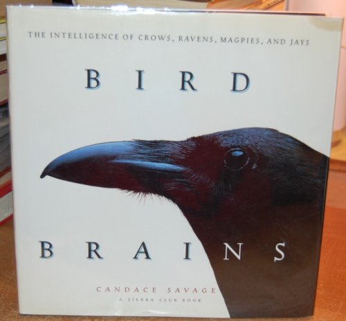 Bird Brains The Intelligence of Crows, Ravens, Magpies, and Jays A Sierra Club Book
