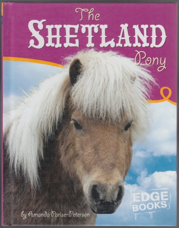 The Shetland Pony