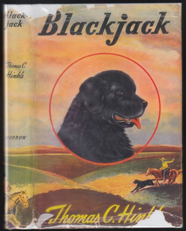 Blackjack A Ranch Dog