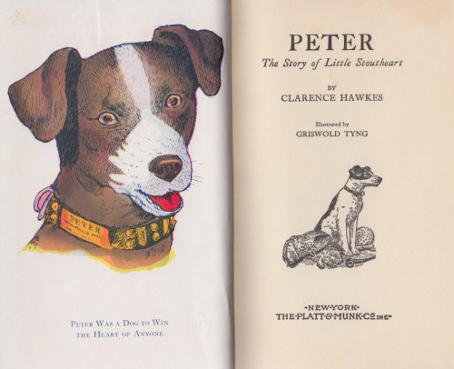 Peter The Story of a Little Stoutheart