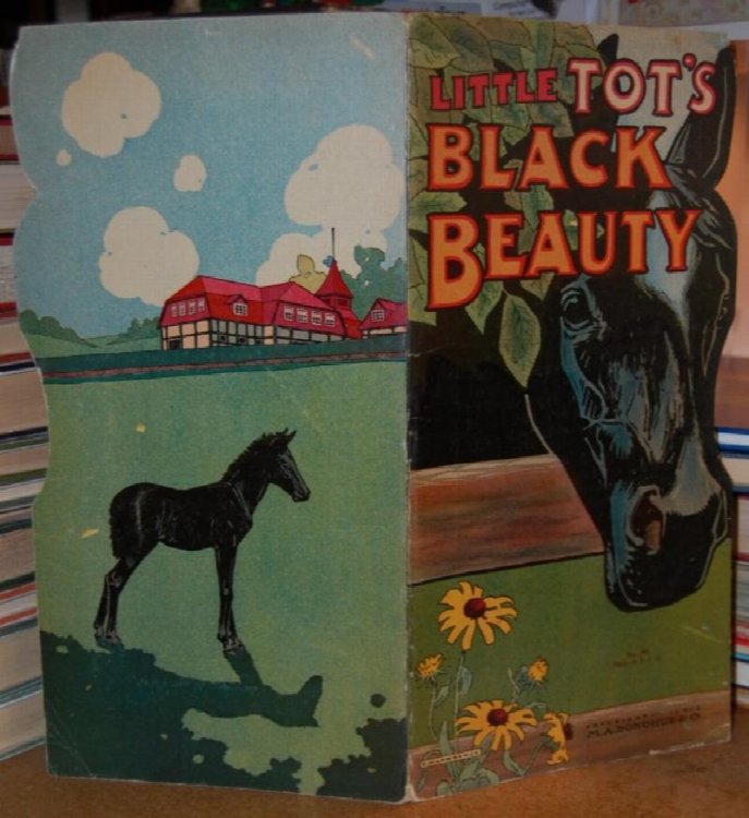 Little Tot's Black Beauty
