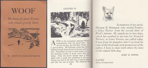 Woof: The Story of a Jones Terrier Who Chased Grizzly Bears
