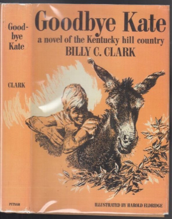Goodbye Kate A Novel of the Kentucky Hill Country