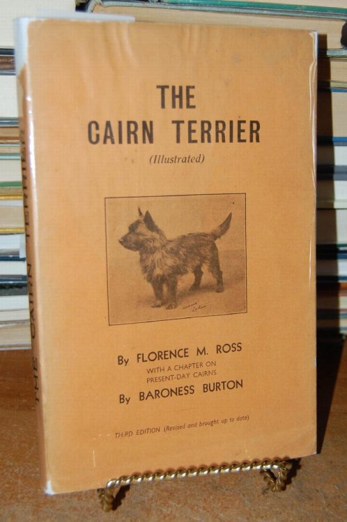 The Cairn Terrier