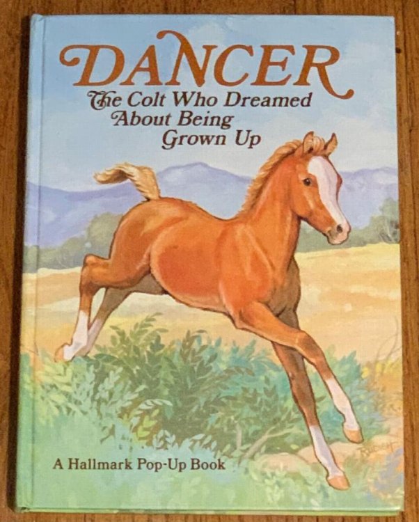 Dancer: The Colt Who Dreamed About Being Grown Up