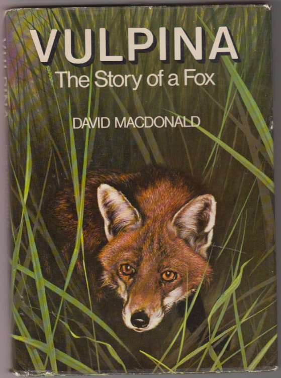 Vulpina: The Story of a Fox