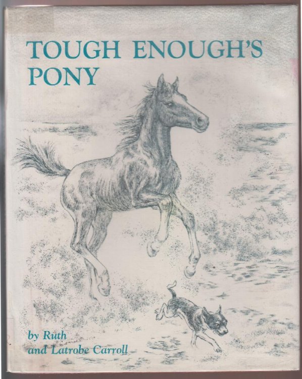 Tough Enough's Pony