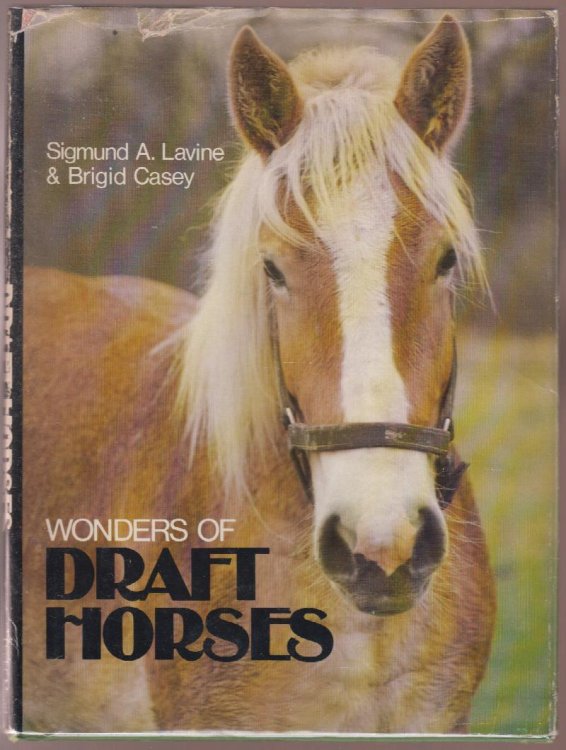 Wonder's of Draft Horses