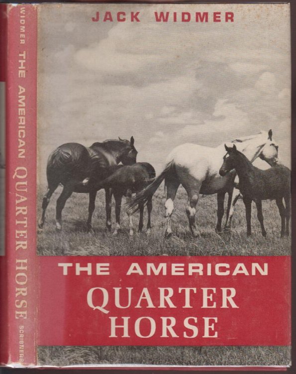 The American Quarter Horse