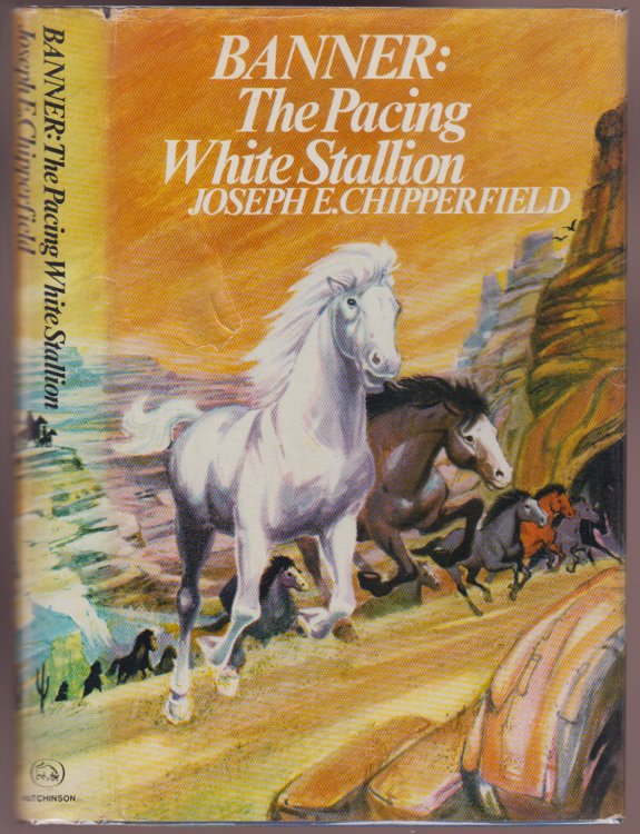 Banner: The Pacing White Stallion