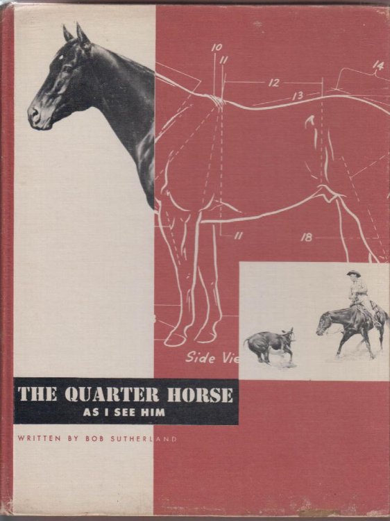 The Quarter Horse As I See Him