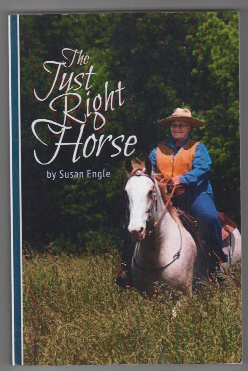 The Just Right Horse