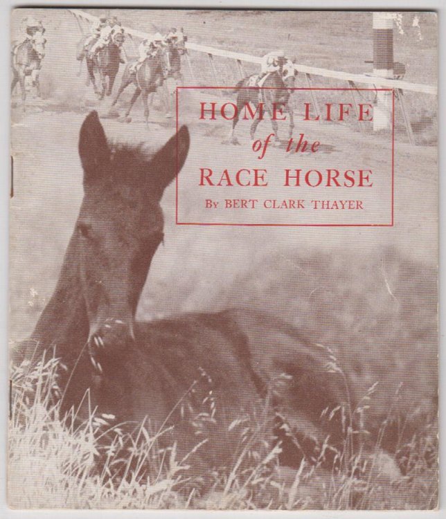 Image for The Home Life of the Race Horse The Home Life of the Race Horse