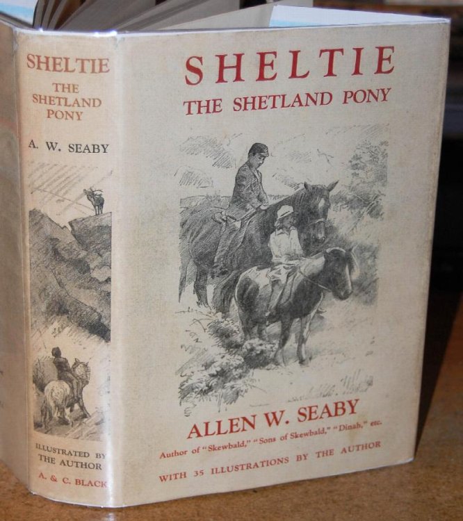 Image for Sheltie The Story Of A Shetland Pony Sheltie The Story Of A Shetland Pony