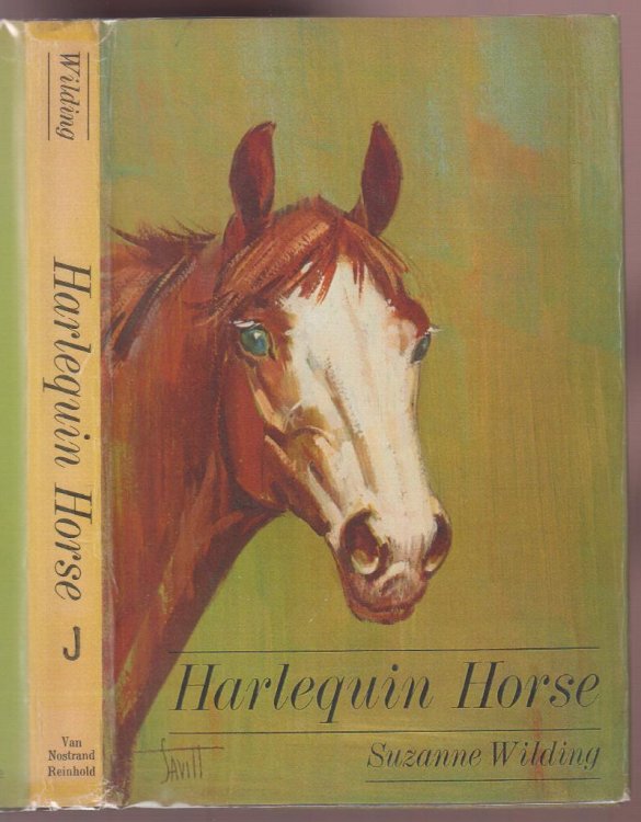 Harlequin Horse
