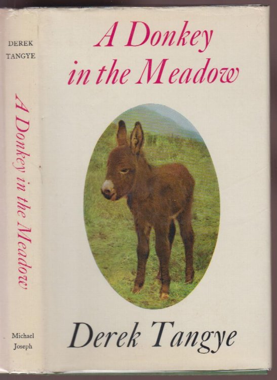 A Donkey in the Meadow
