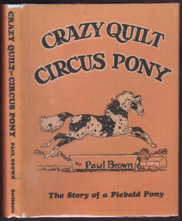 Crazy Quilt Circus Pony