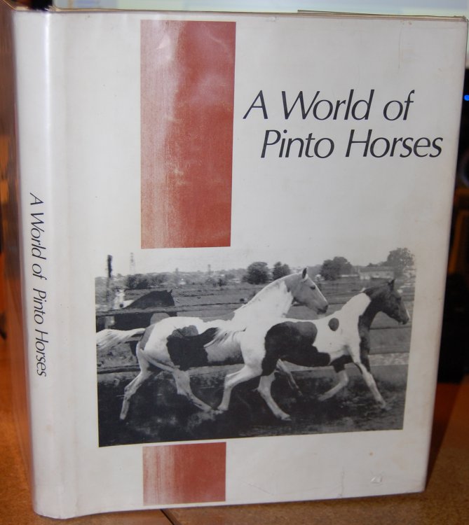 A World of Pinto Horses