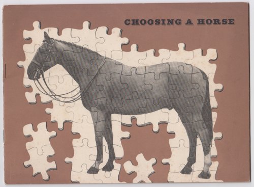 Choosing A Horse