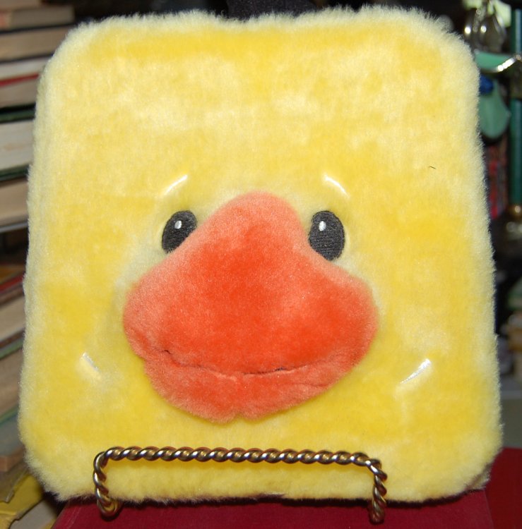 Duck's Swimming Lesson