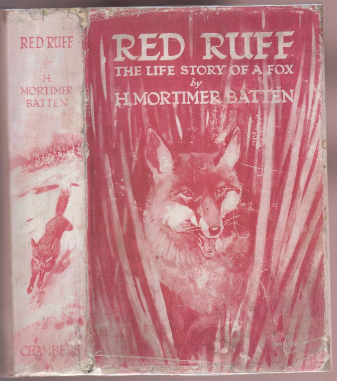 Red Ruff The Life Story of a Fox