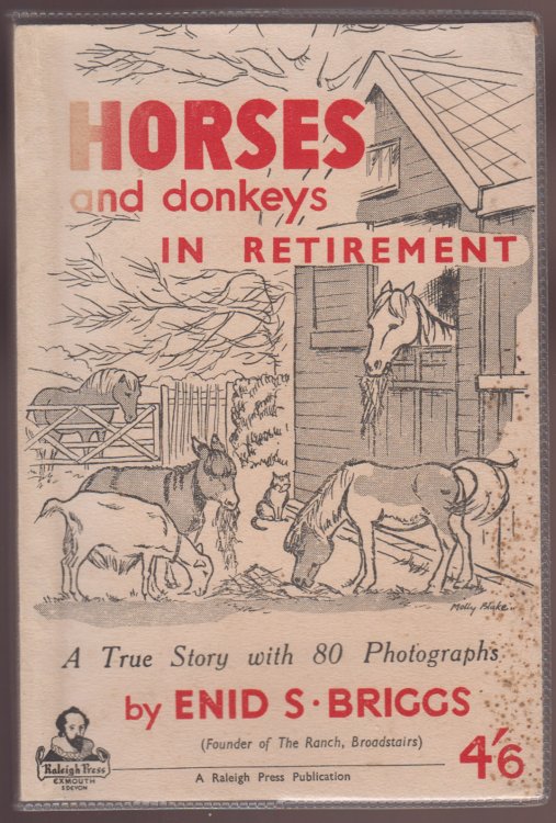 Horses and Donkeys in Retirement