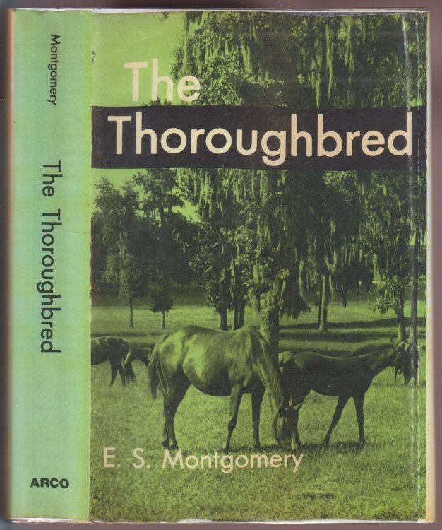 Image for The Thoroughbred The Thoroughbred