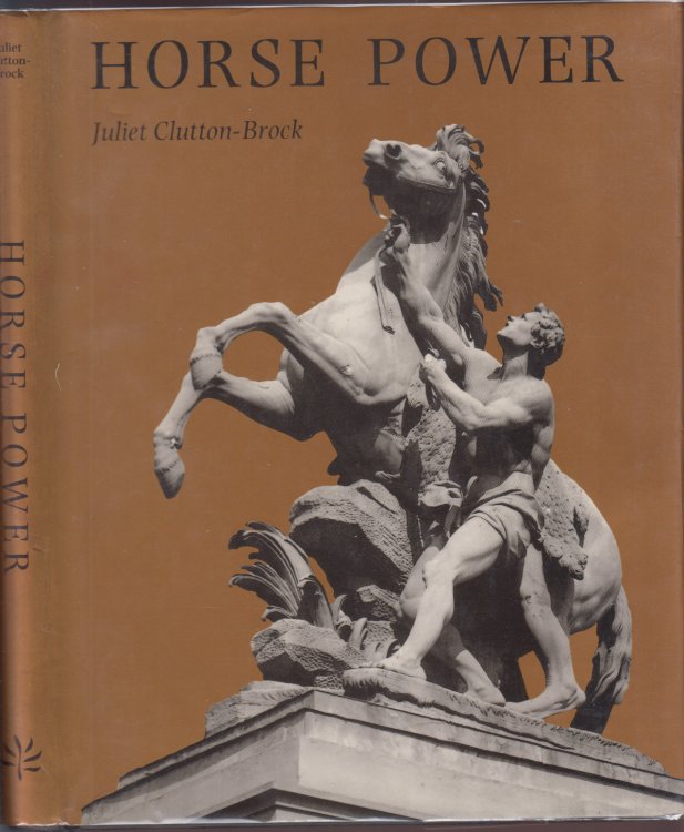 Horse Power A History of the Horse and the Donkey in Human Societies