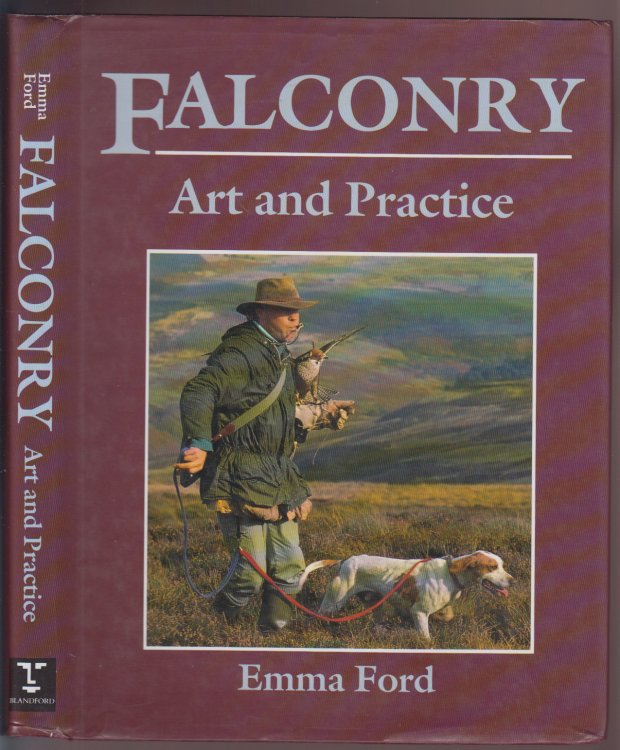 Falconry Art and Practice
