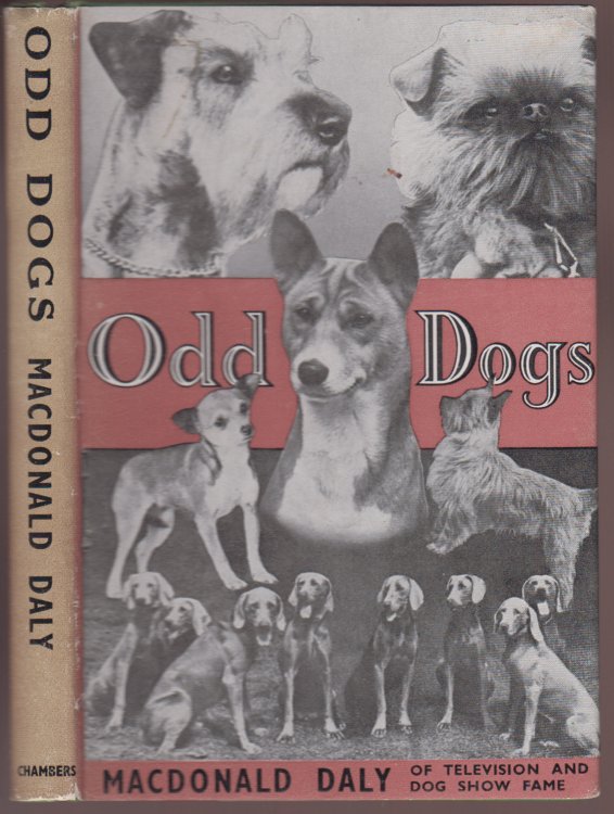 Odd Dogs