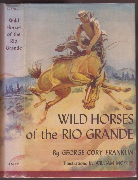 Wild Horses of the Rio Grande
