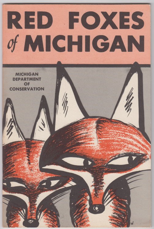 Red Foxes of Michigan