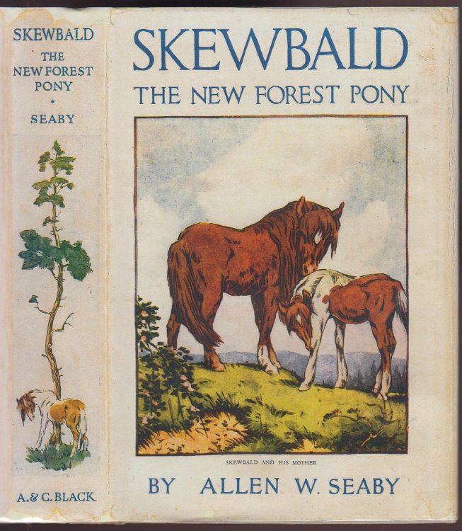 Skewbald the New Forest Pony
