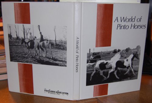A World of Pinto Horses
