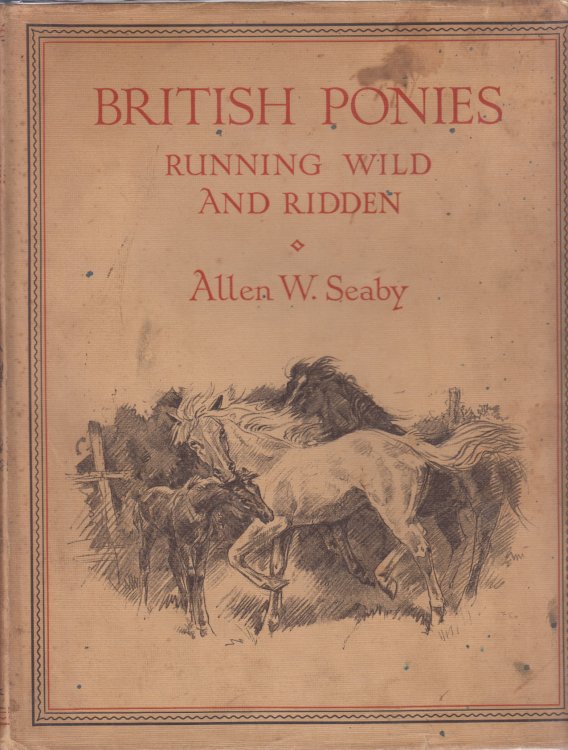 British Ponies Running Wild and Ridden