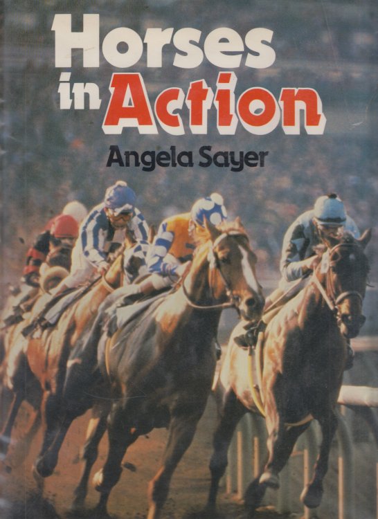 Horses In Action