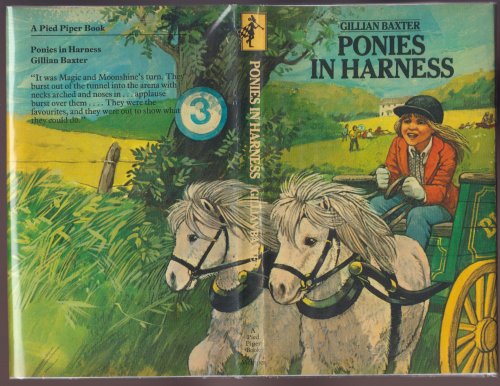 Ponies in Harness