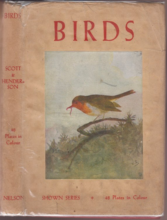 Birds