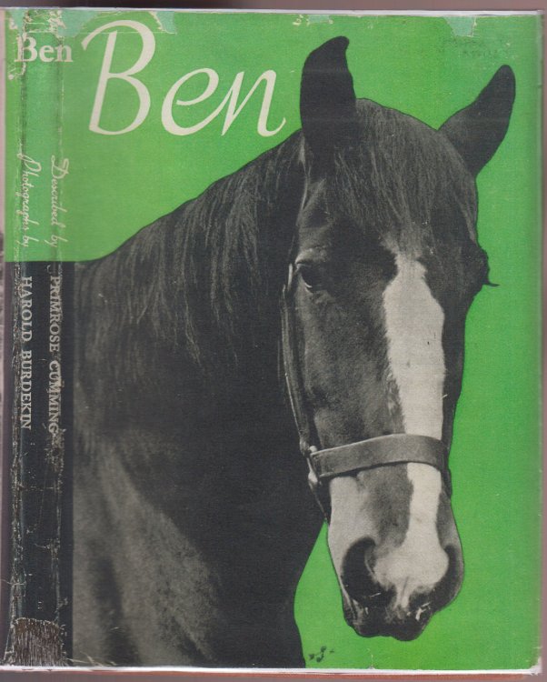 Ben The Story of a Cart-Horse.